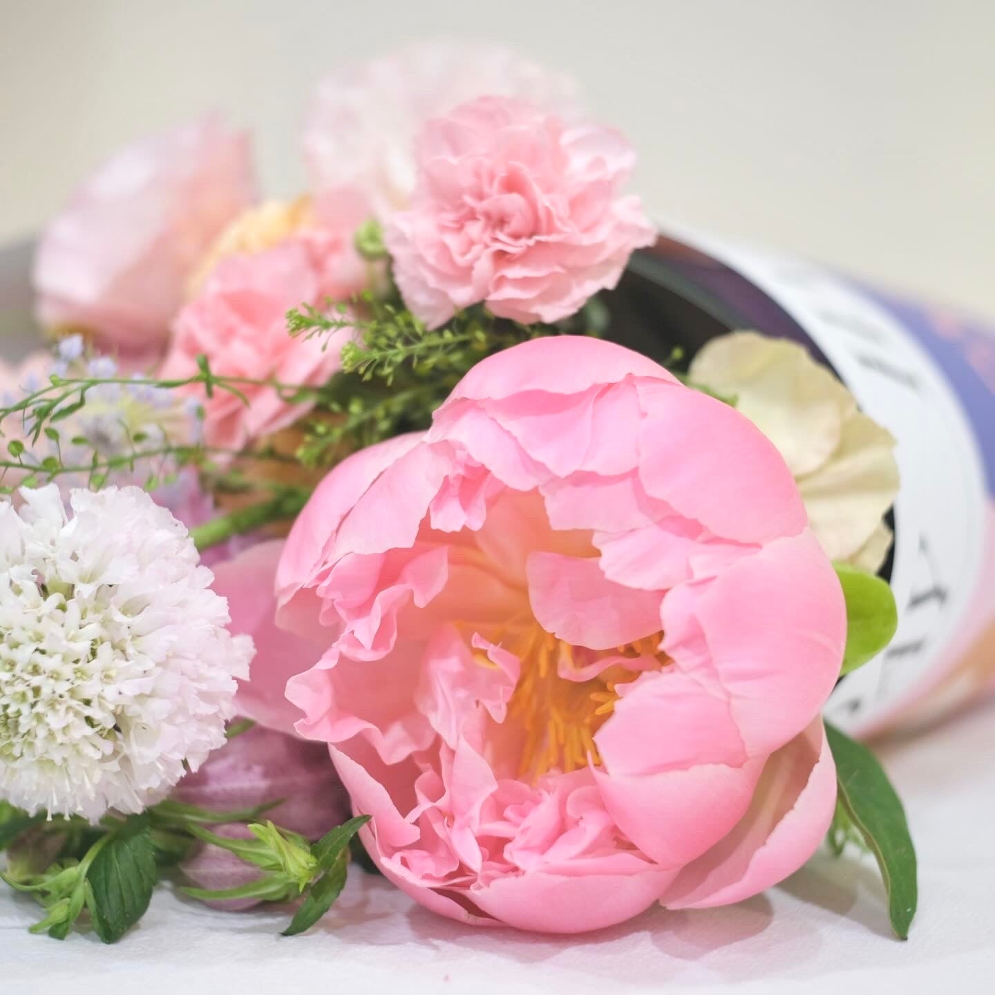 MoD Series | ONJU x Dailyfloret