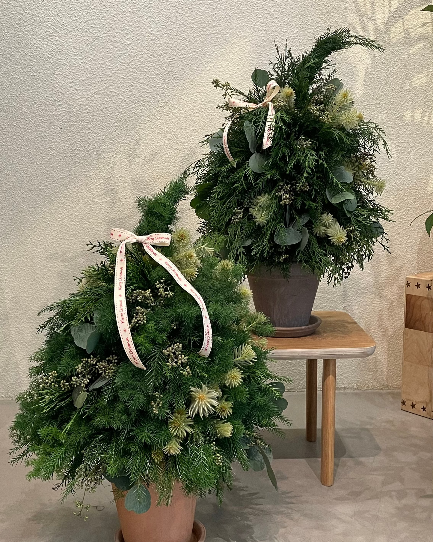 Build-From_Scratch Christmas Tree