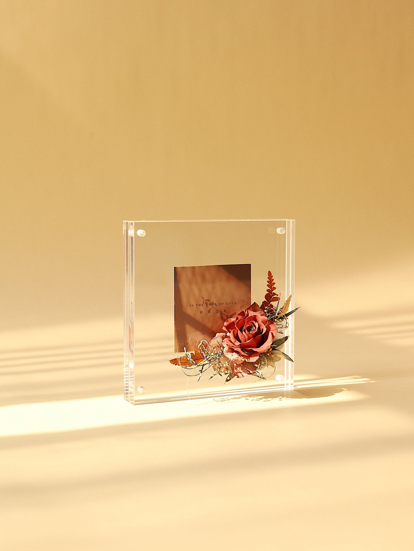 MoD Series | Rose Frame