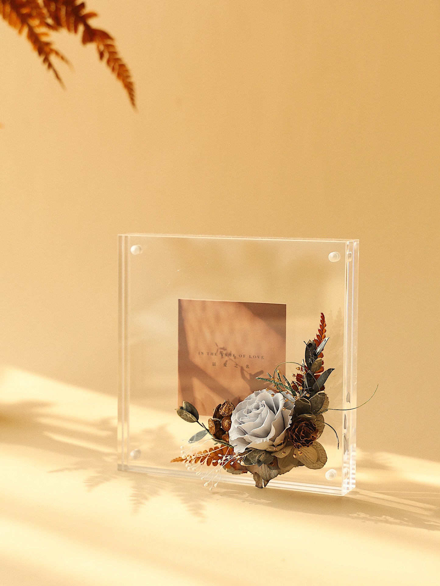 MoD Series | Rose Frame