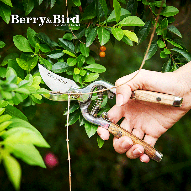 Berry & Bird | Wooden Handle Bypass Secateurs