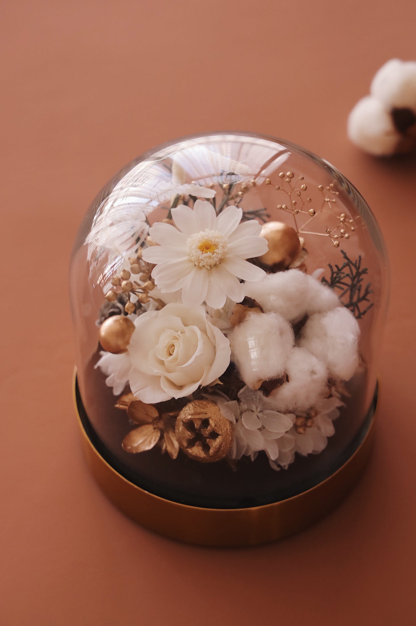 MoD Series | Gerbera Dome