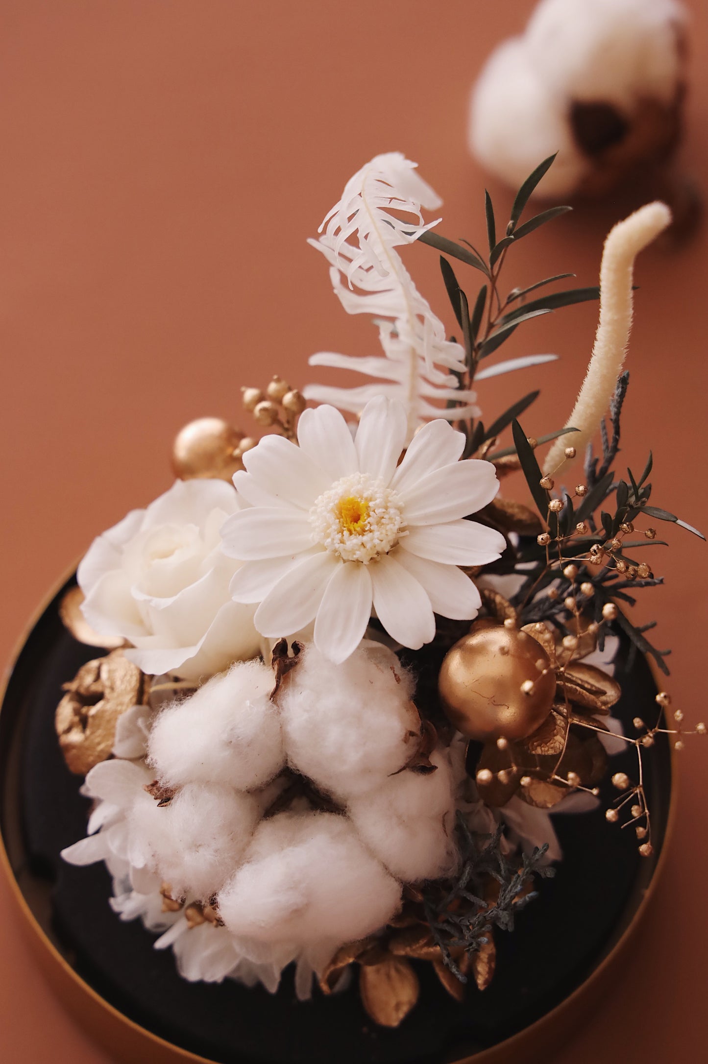 MoD Series | Gerbera Dome