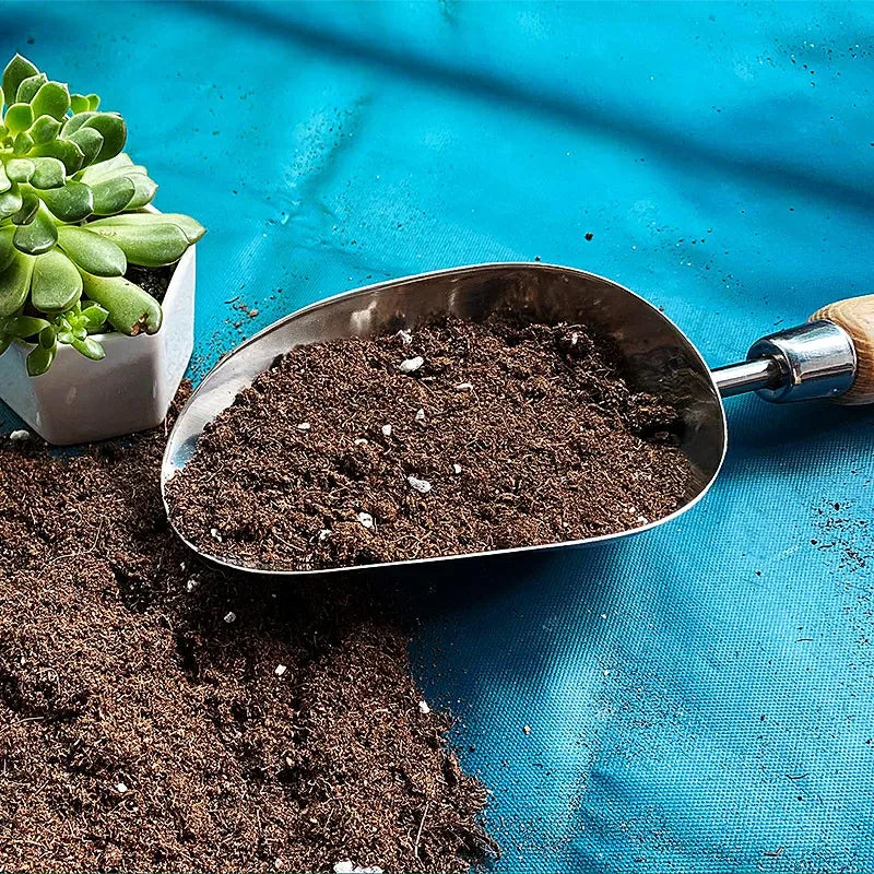 Berry & Bird | Stainless Steel Hand Potting Scoop