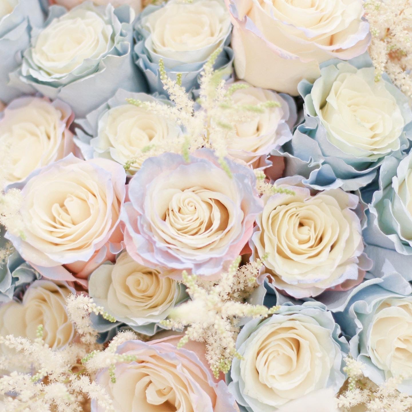 Unicorn Tinted Rose Bouquet