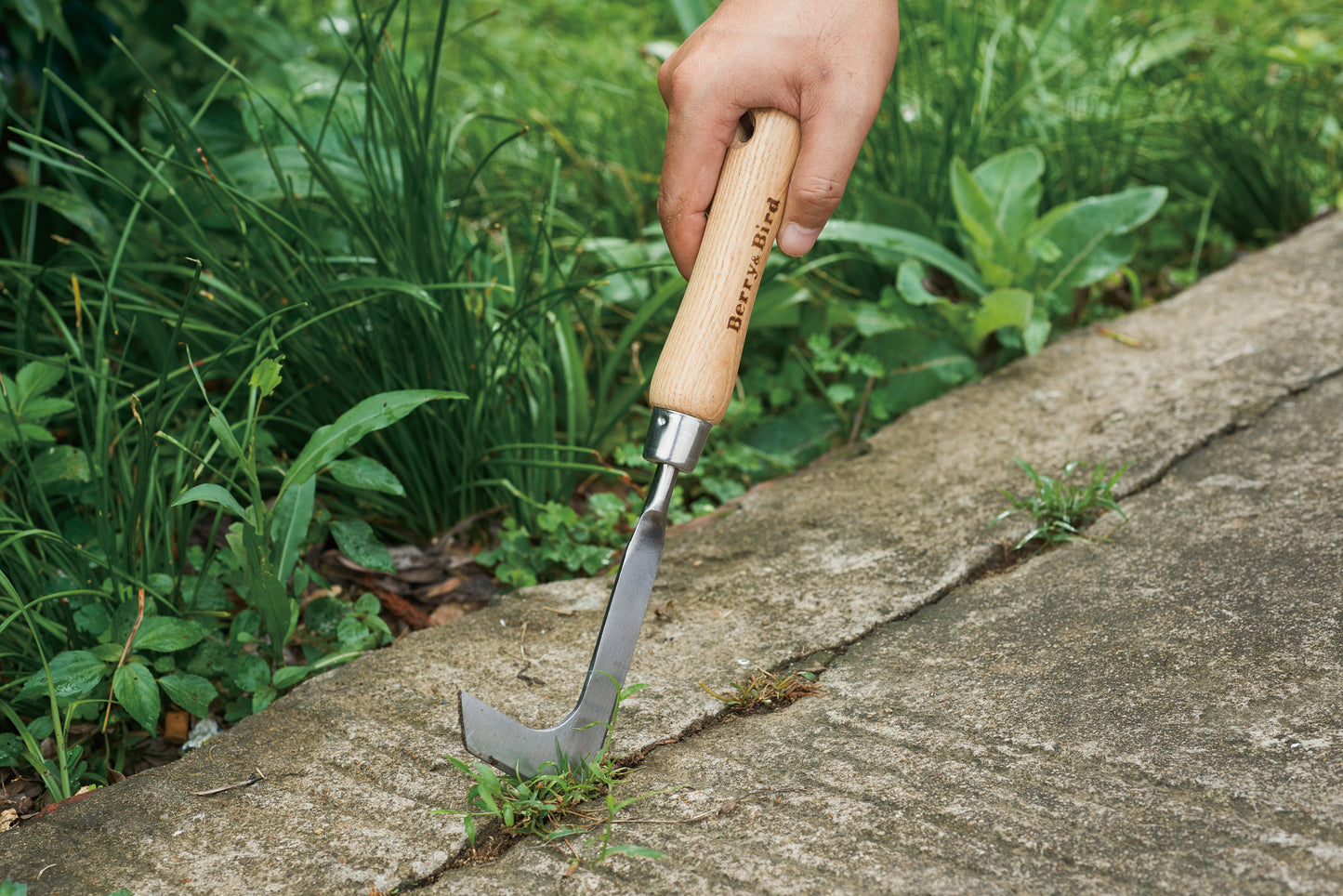Berry & Bird | Stainless Steel Hand Weeding Knife