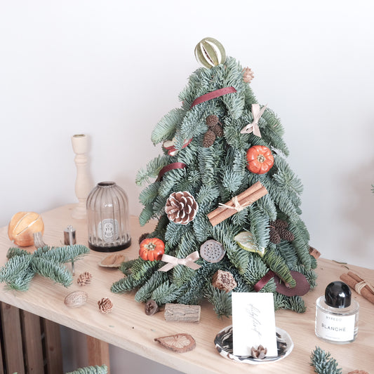 Natural Dried Nuts Noble Tree