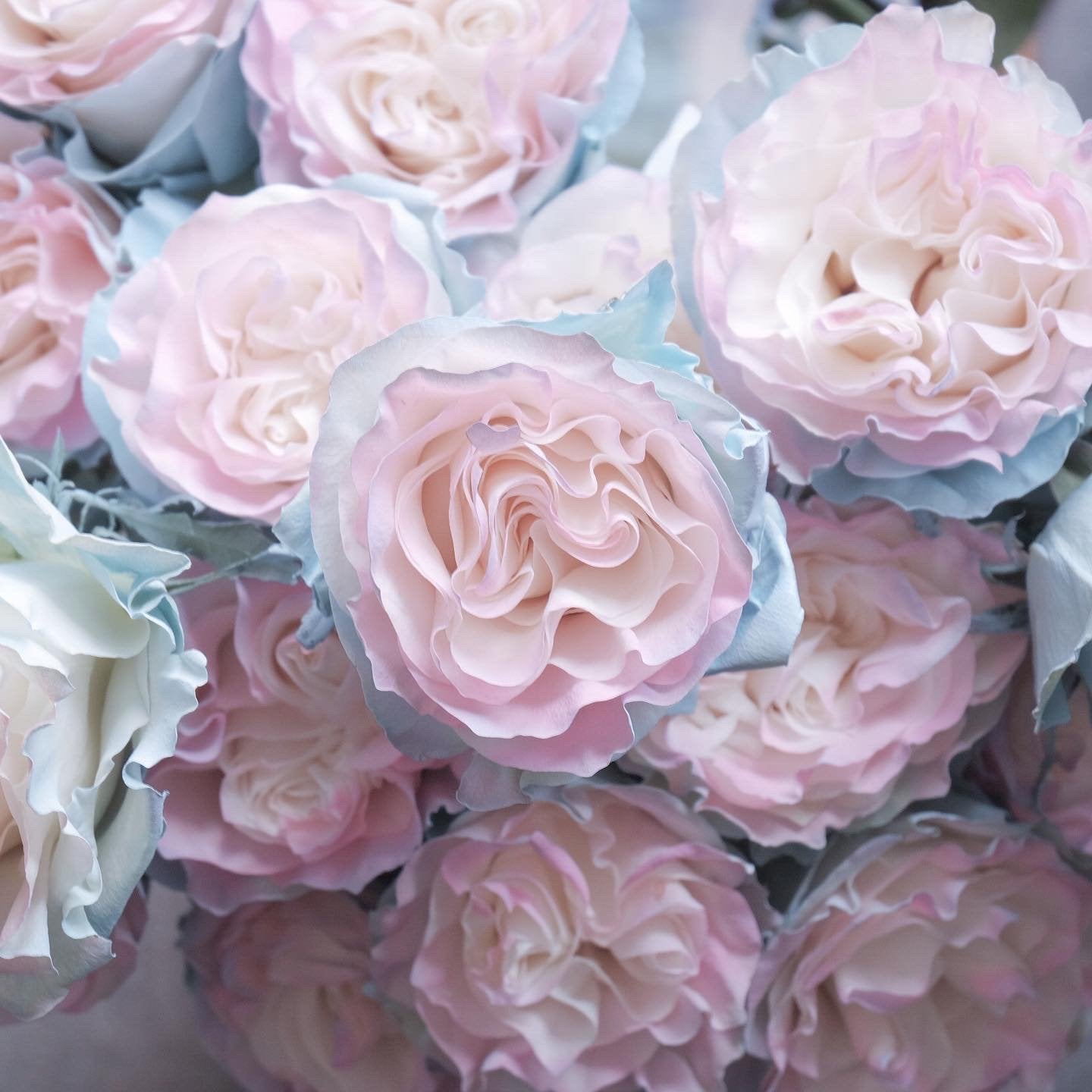 Jellyfish Rose Bouquet