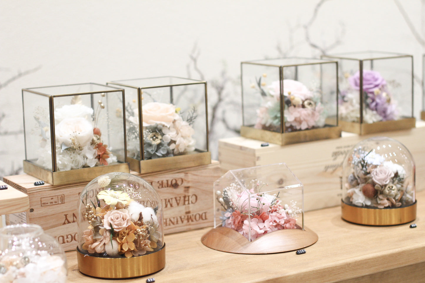 MoD Series | Rose Cube