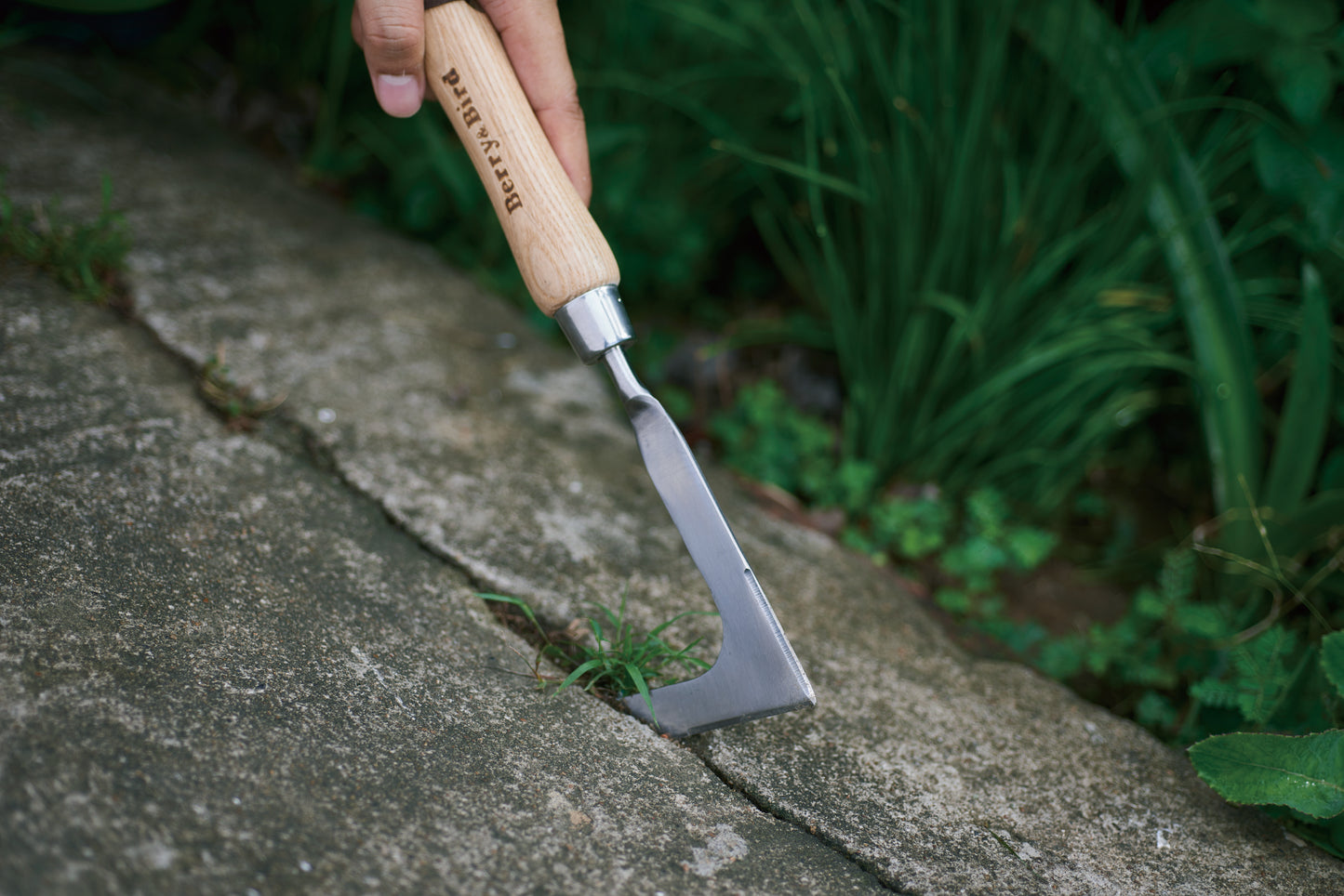 Berry & Bird | Stainless Steel Hand Weeding Knife