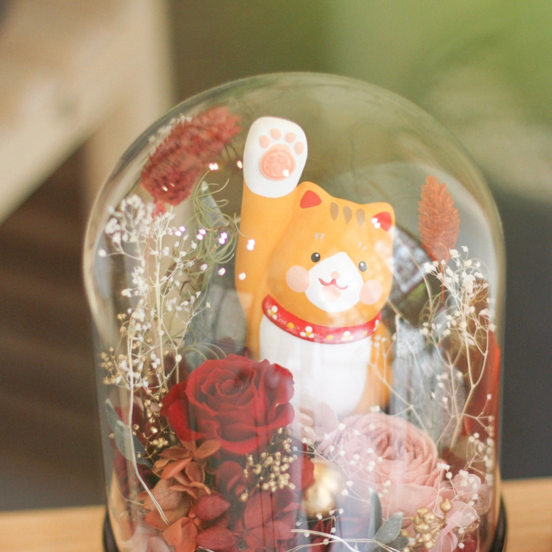 MoD Series | Ceramic Cat