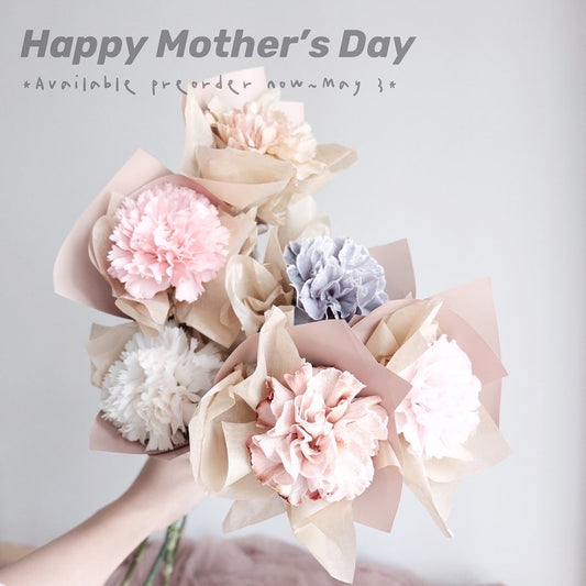 MoD Series | Single Columbia Carnation