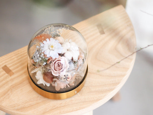 MoD Series | Gerbera Dome