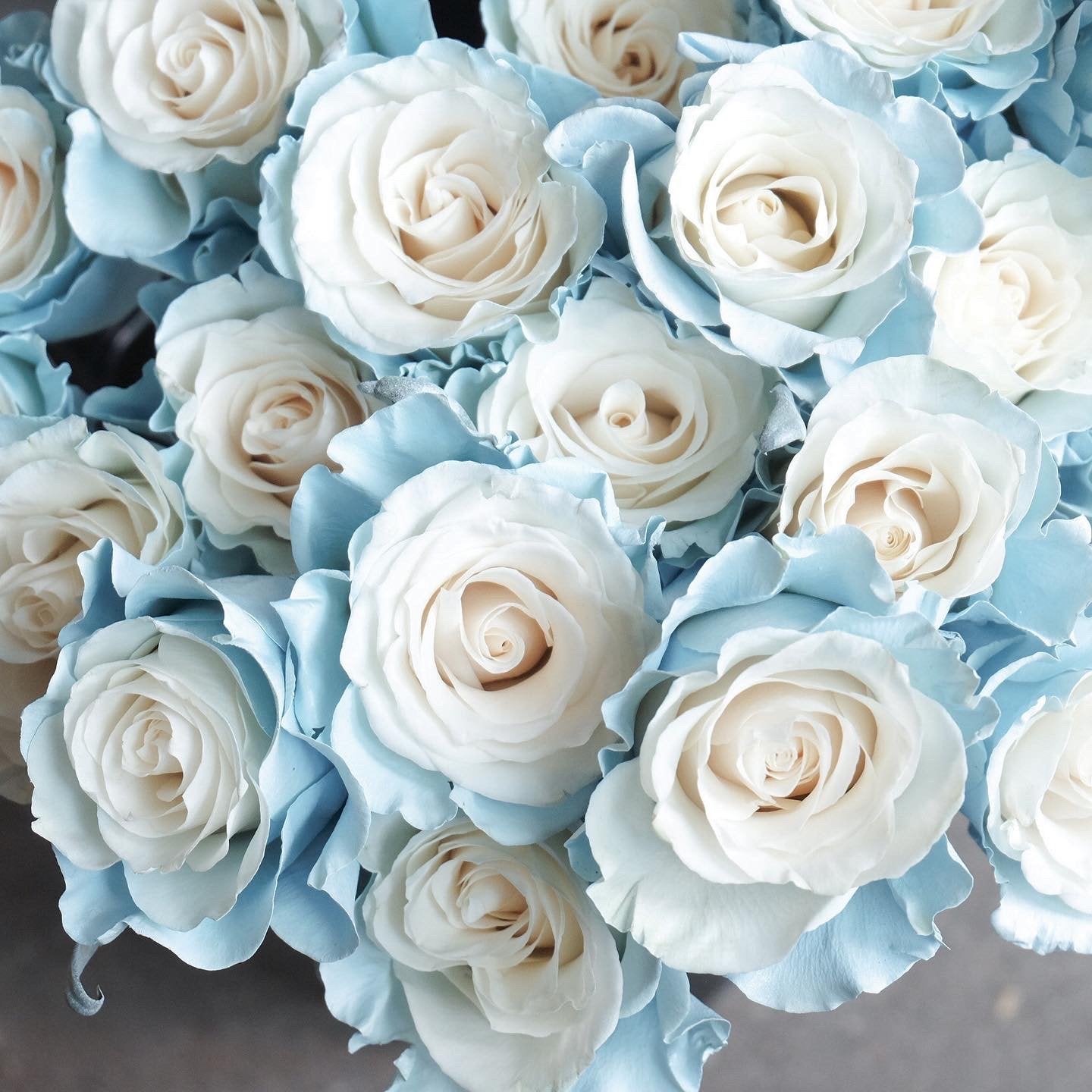 Baby Blue Rose Bouquet