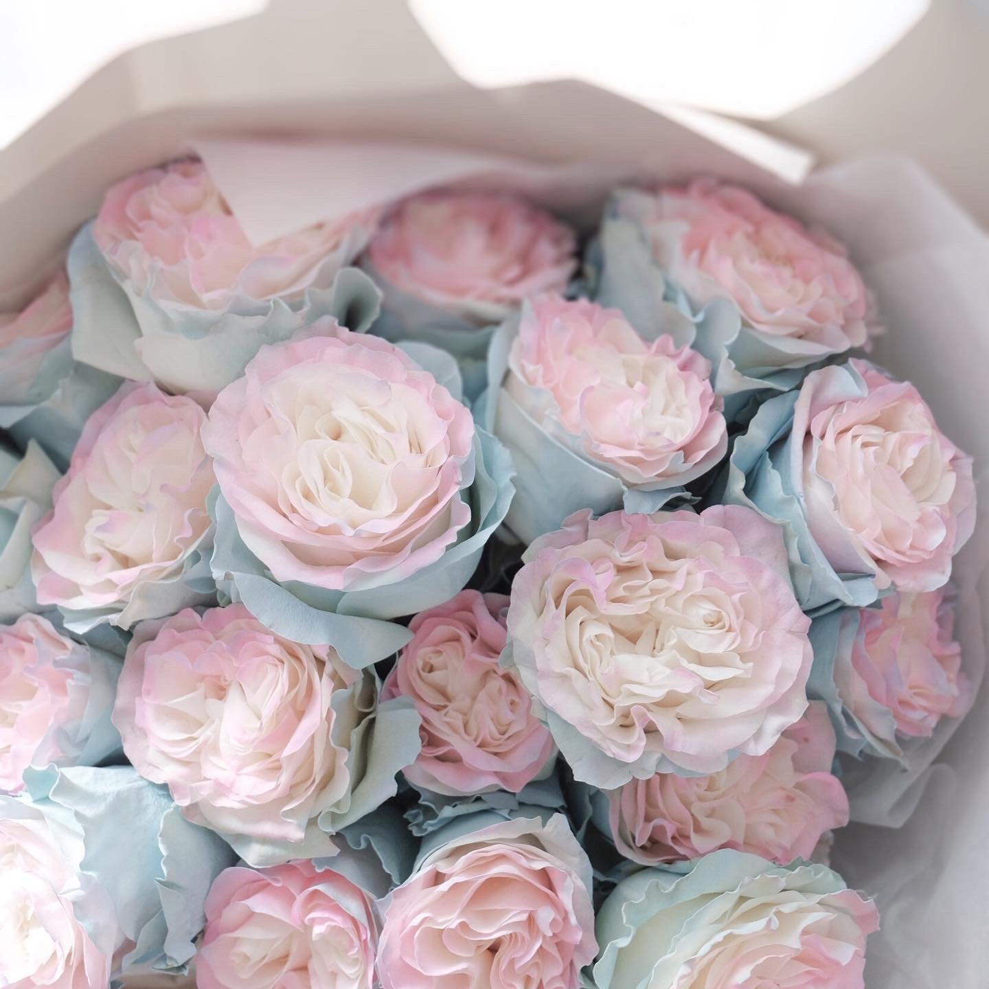 Jellyfish Rose Bouquet