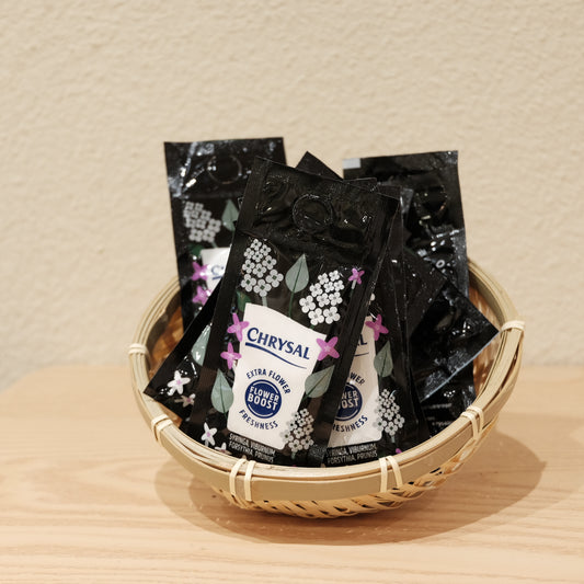 ChrysalClear Syringal 花粉 (木本)