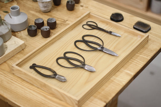 Japanese Pruning Shears 日本枝剪