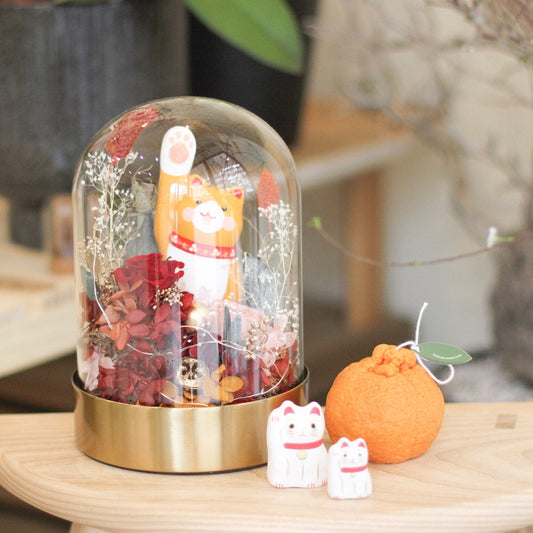 MoD Series | Ceramic Cat