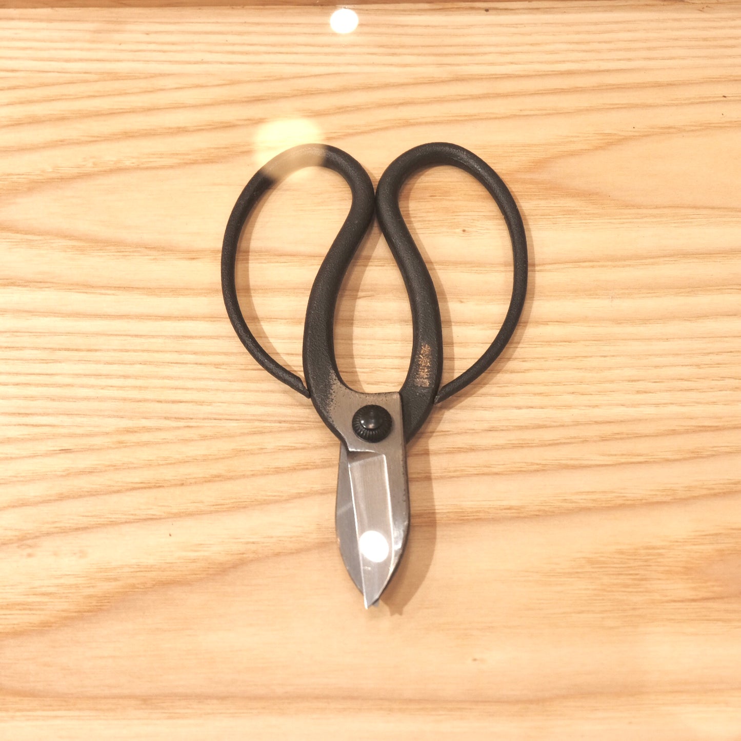Japanese Pruning Shears 日本枝剪