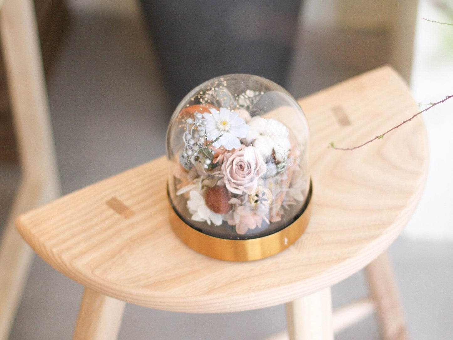MoD Series | Gerbera Dome