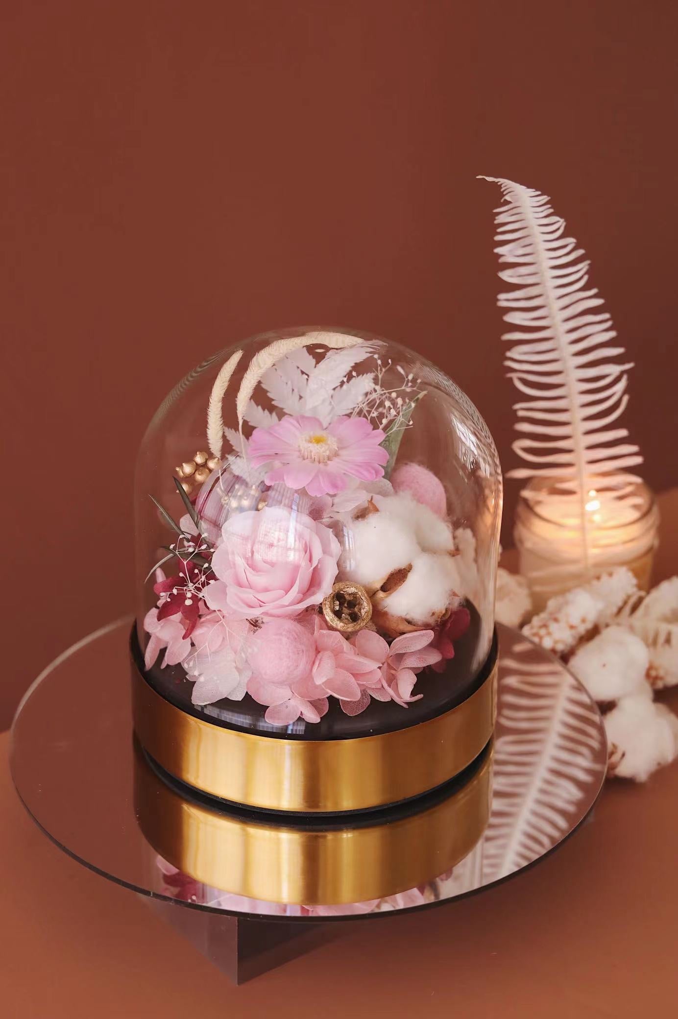 MoD Series | Gerbera Dome