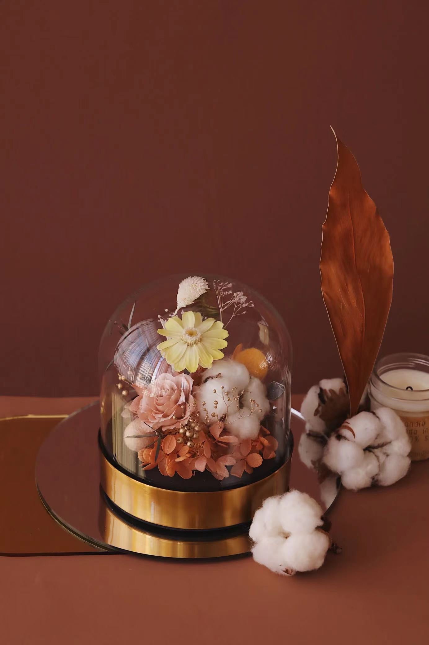 MoD Series | Gerbera Dome