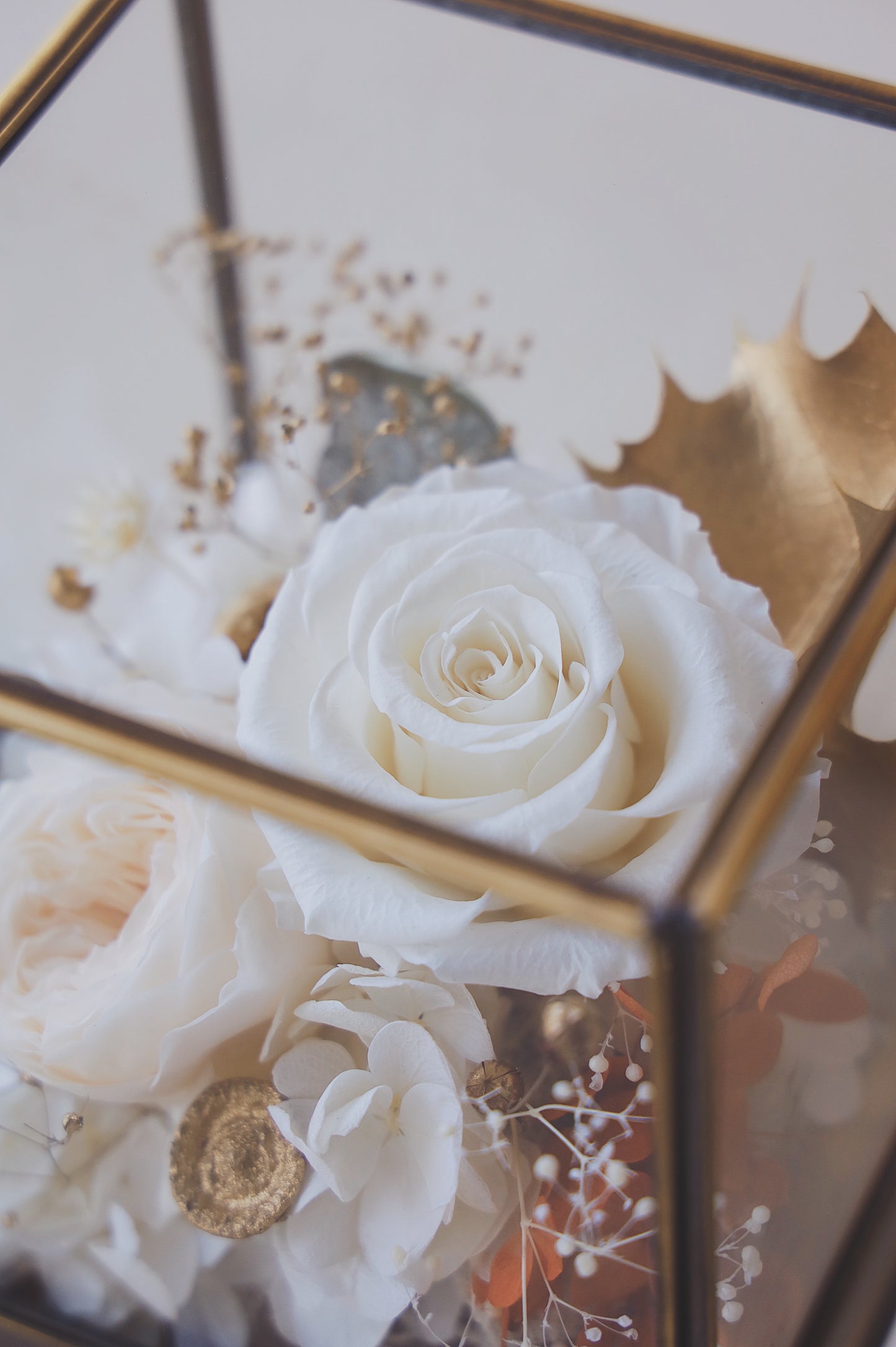 MoD Series | Rose Cube