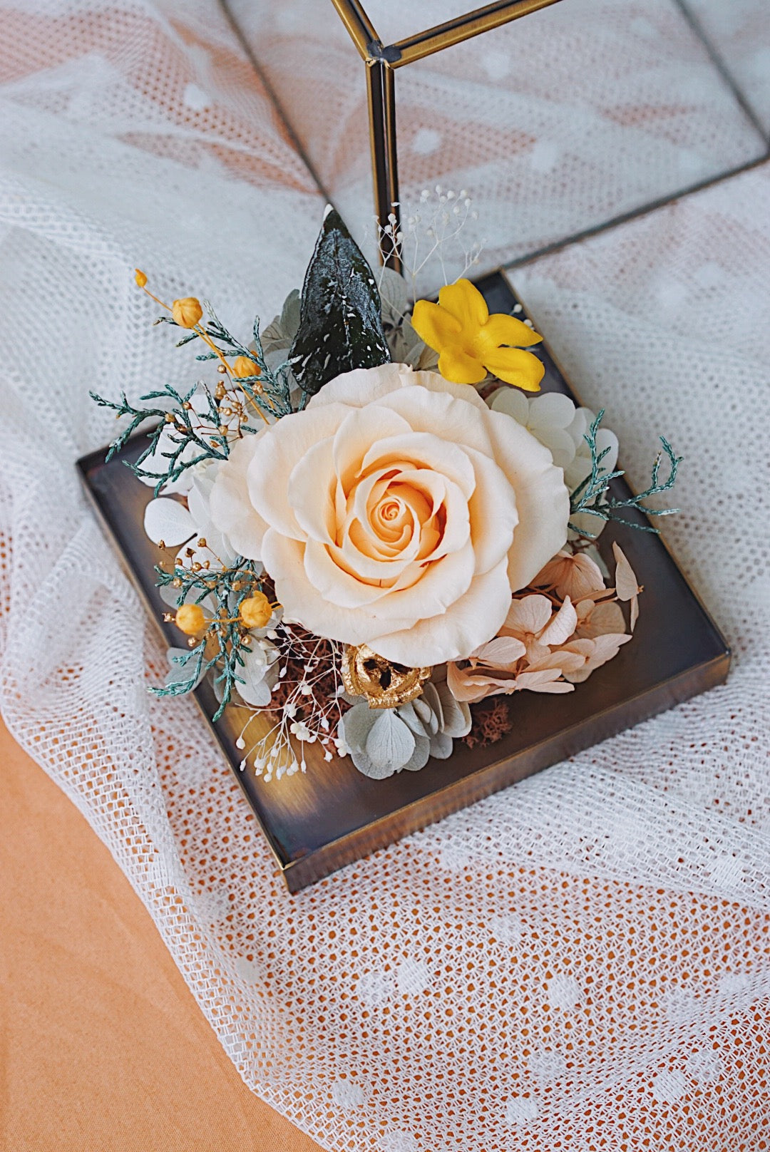 MoD Series | Rose Cube