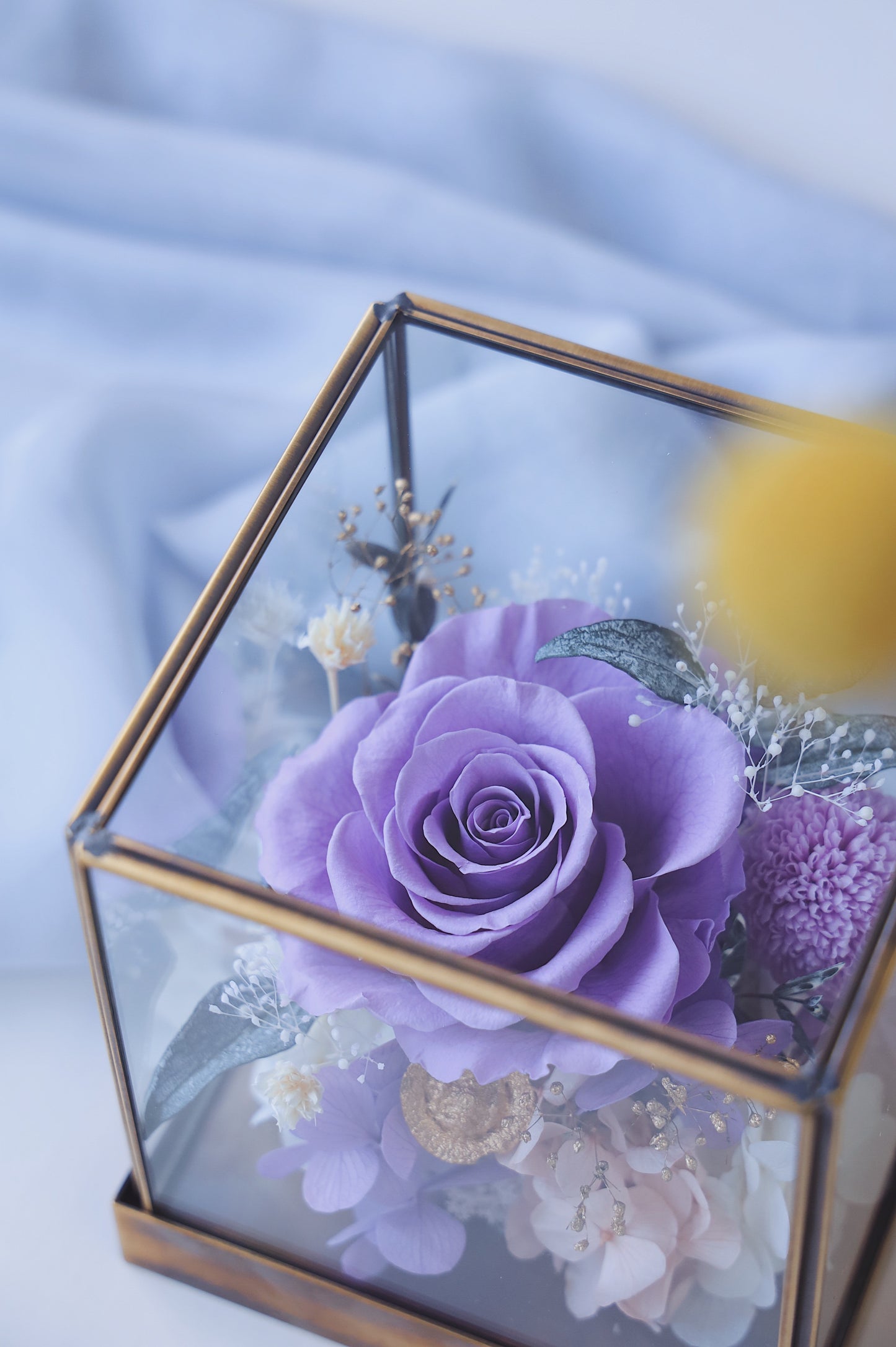 MoD Series | Rose Cube