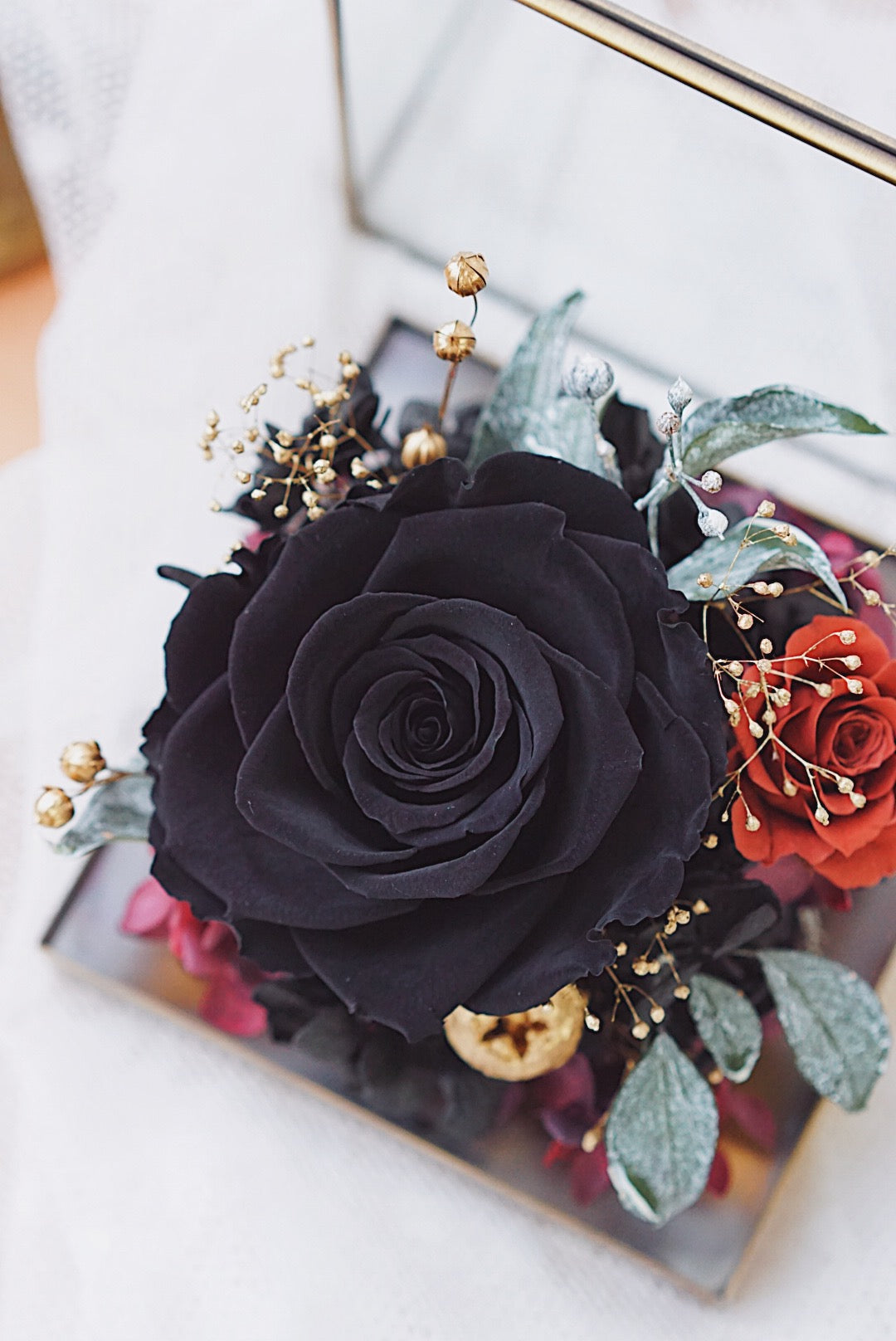 MoD Series | Rose Cube