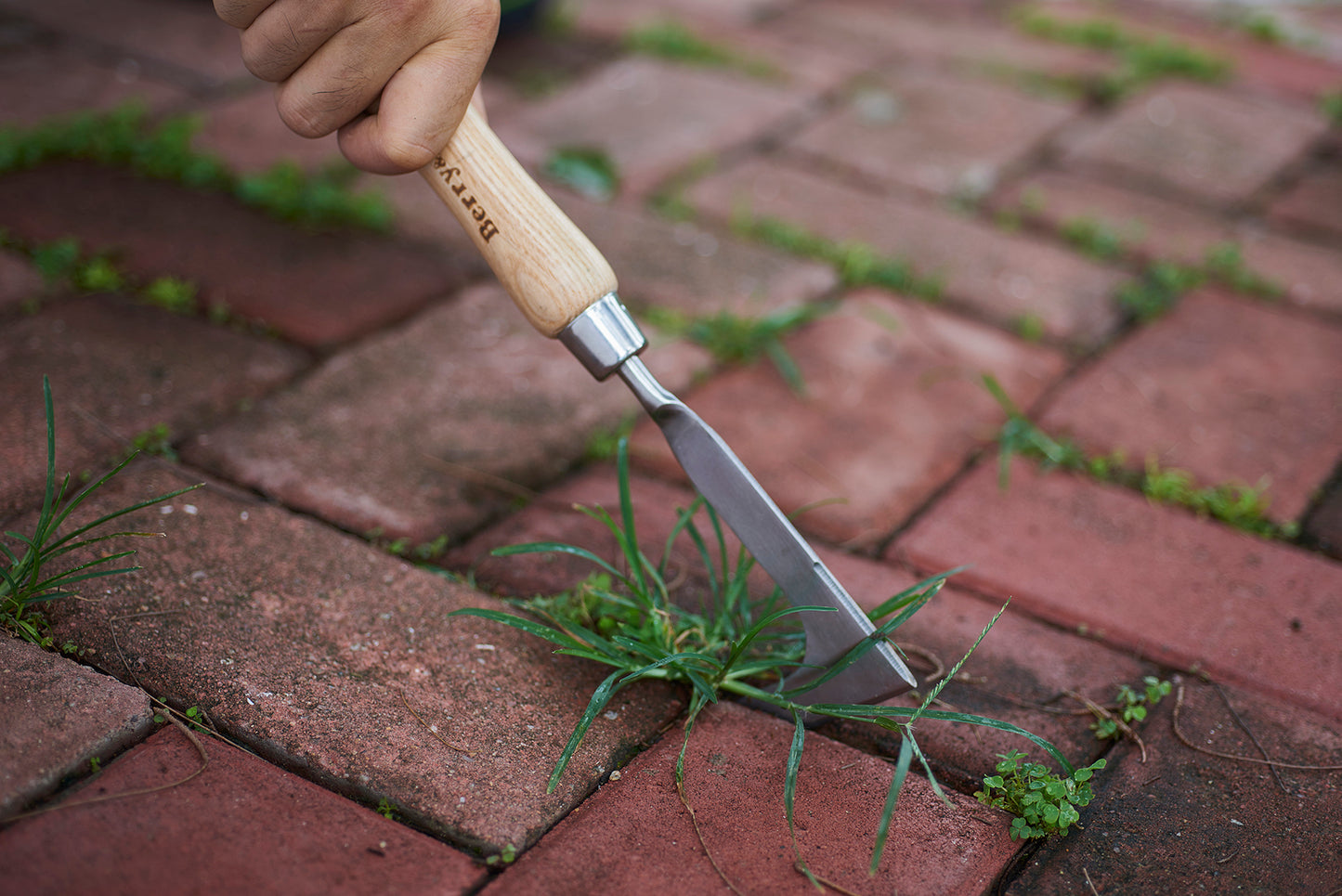 Berry & Bird | Stainless Steel Hand Weeding Knife