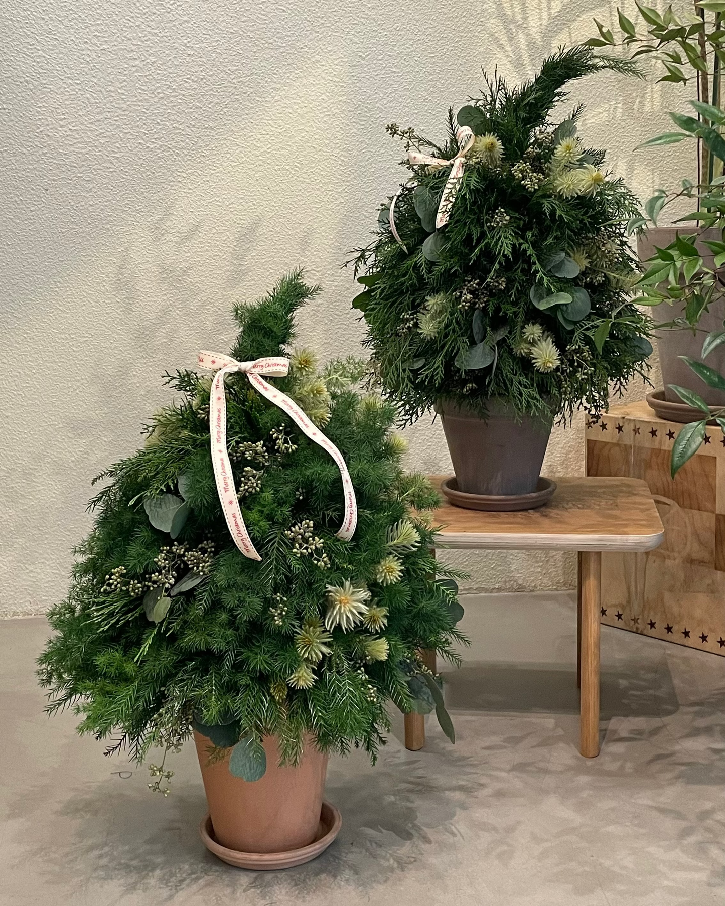 Build-From_Scratch Christmas Tree