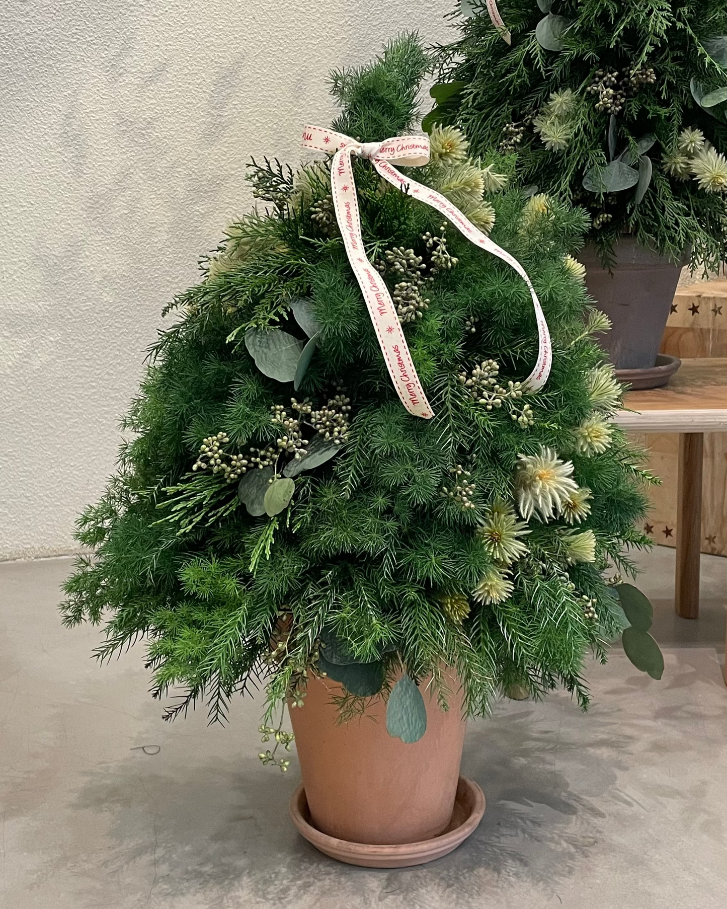 Build-From_Scratch Christmas Tree