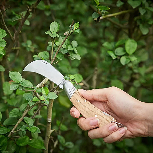 Berry & Bird | Stainless Steel Pruning Knife