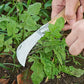 Berry & Bird | Stainless Steel Pruning Knife