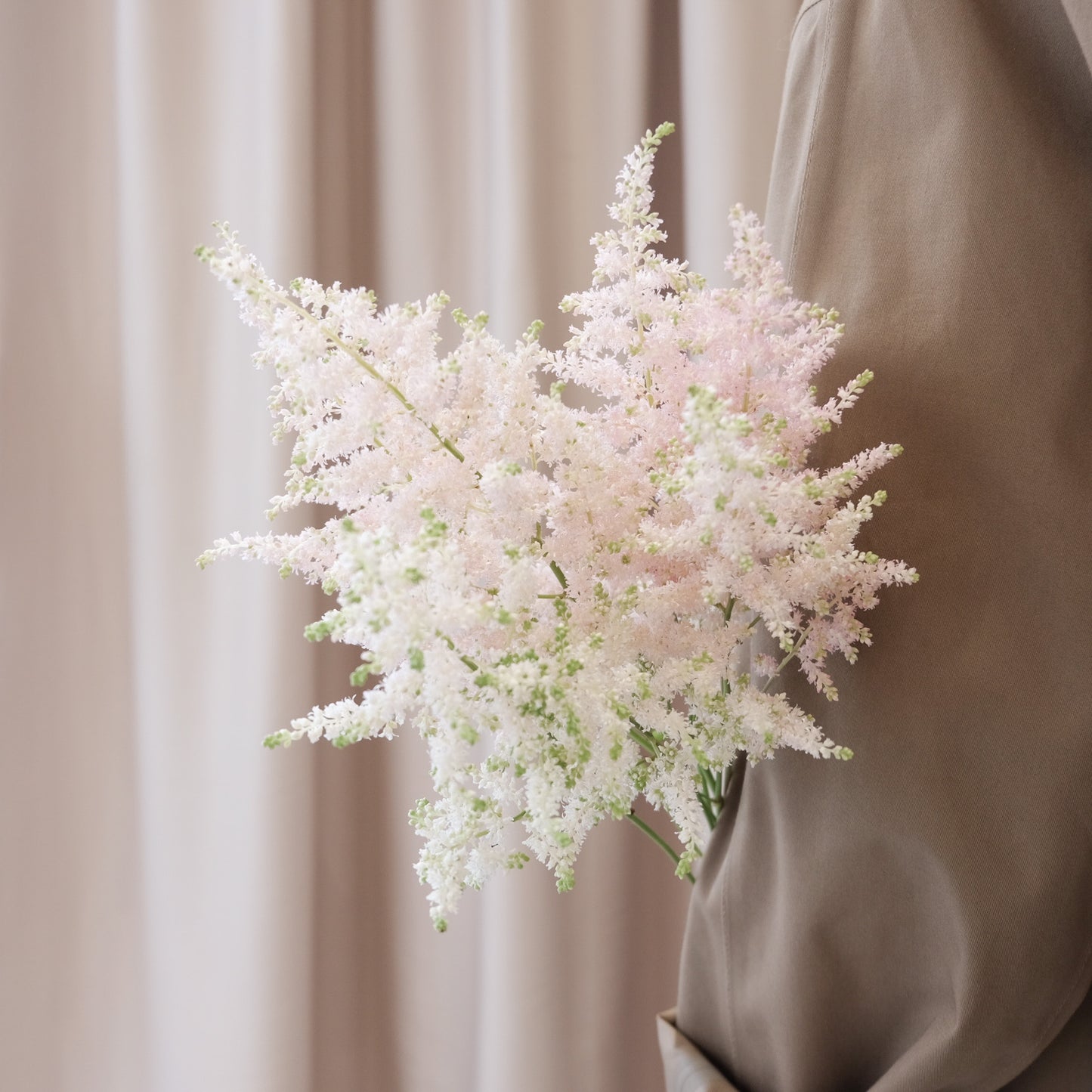 Astilbe 落新婦