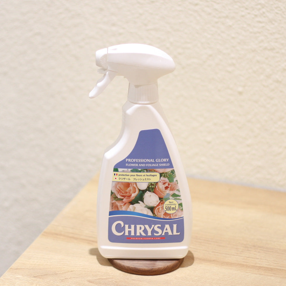 Chrysal Professional Glory