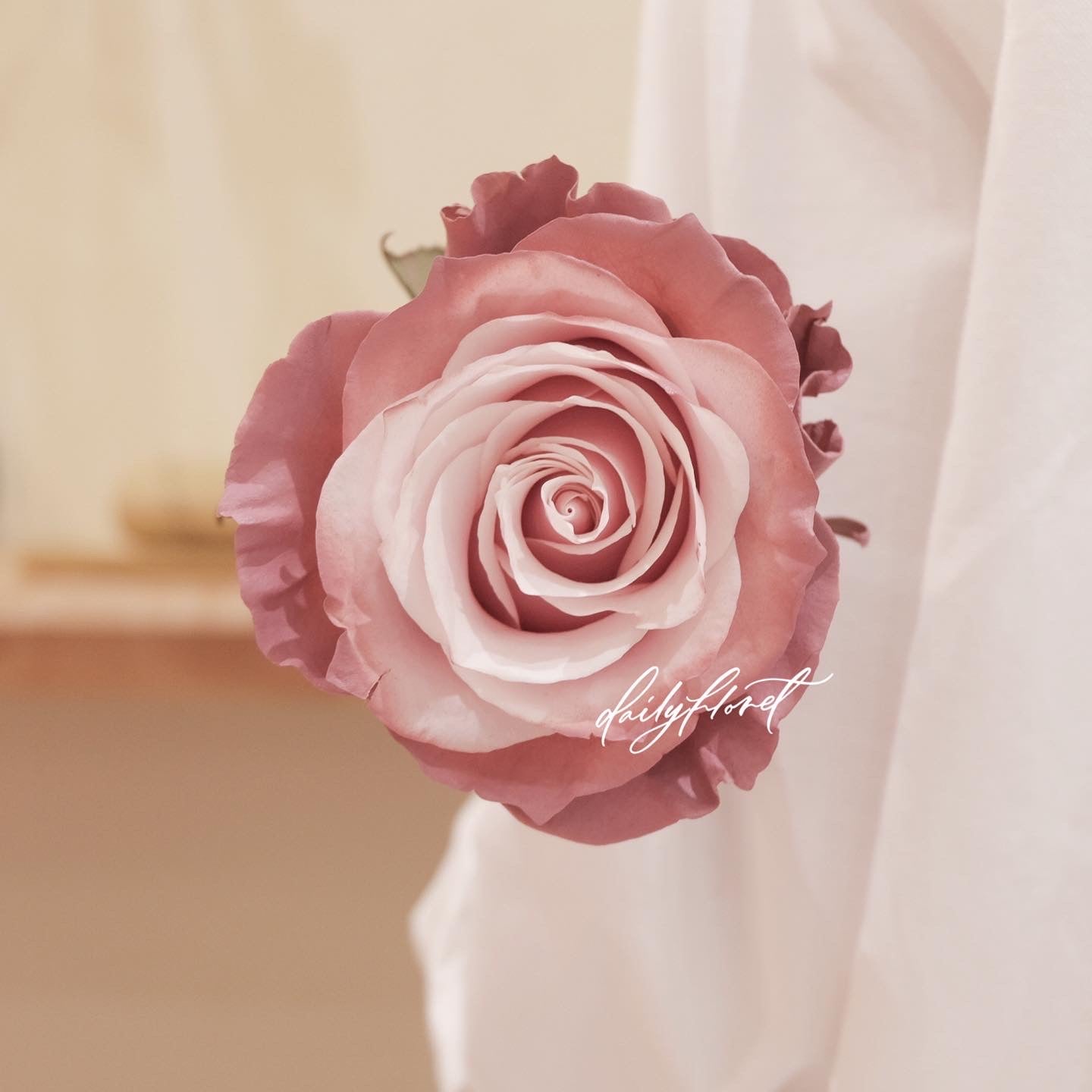 Mauve Tinted Rose Bouquet