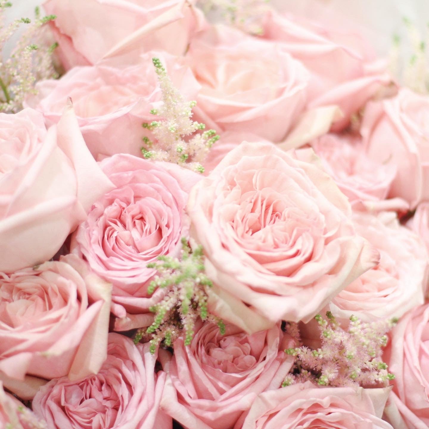 Pink Garden Rose Bouquet