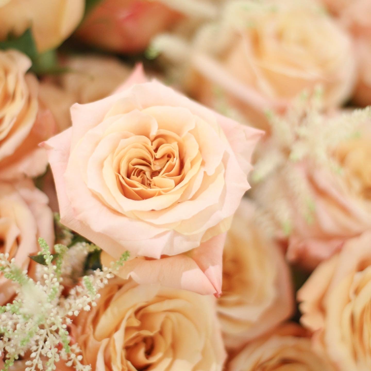 Peach Pink Rose Bouquet