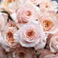 Peach Pink Rose Bouquet